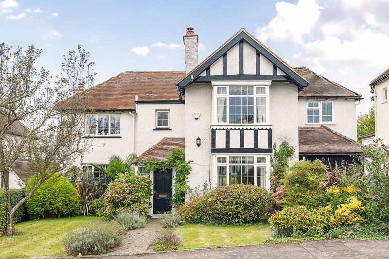 Main Image